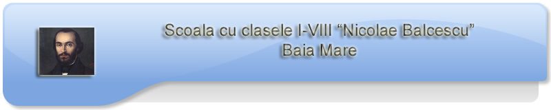 Scoala Nicolae Balcescu